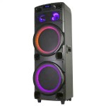 1208 Dual 2x 12 inch Large Wooden Professional DJ Karaoke Partybox Wireless Bluetooth Speaker RGB LED Light with 2x Wireless Microphones