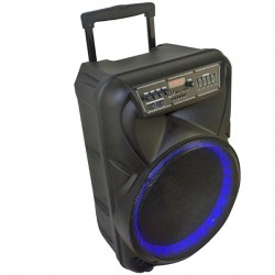 1505 Partybox 15 inch Full Range DJ Professional Portable Trolley RGB Light Karaoke Speaker with 1x Wireless Microphones